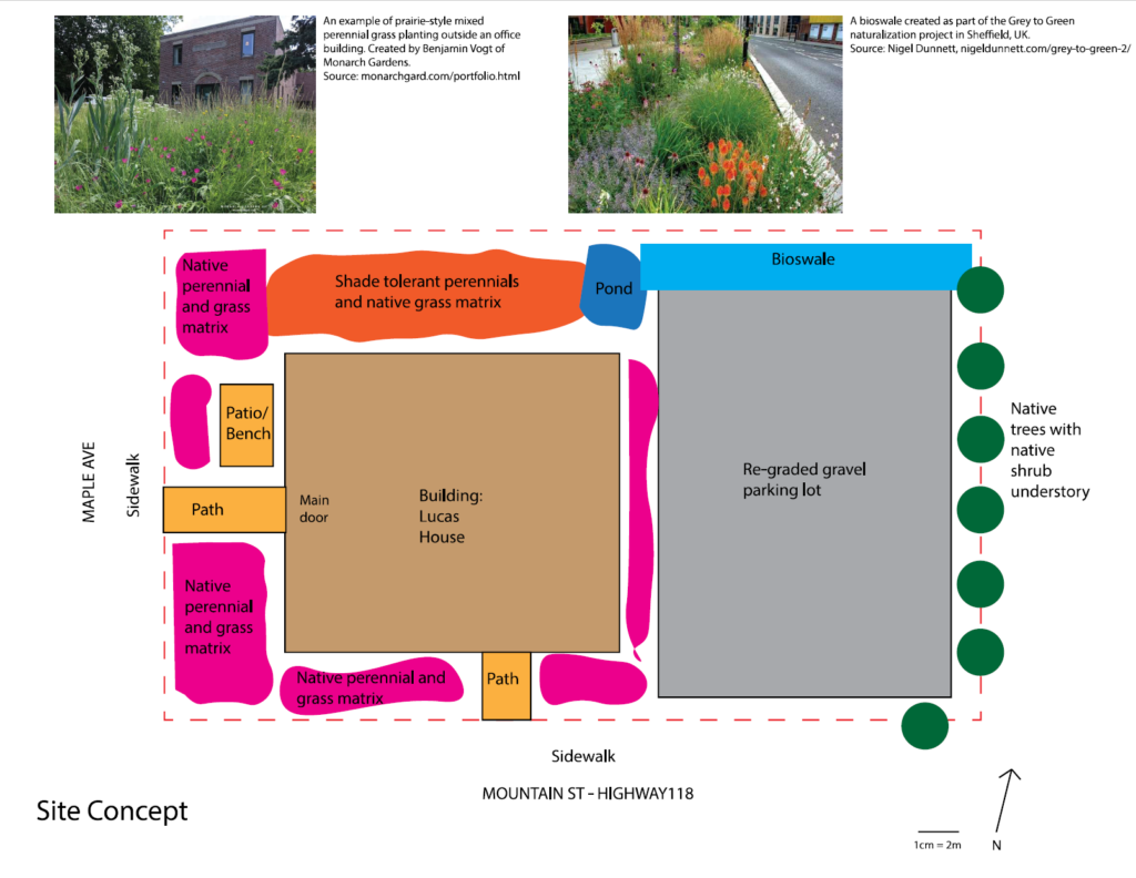 Illustration of site concept of the Lucas House natural native plant garden in Haliburton, Ontario, also showing examples of similar gardens and a bioswale.